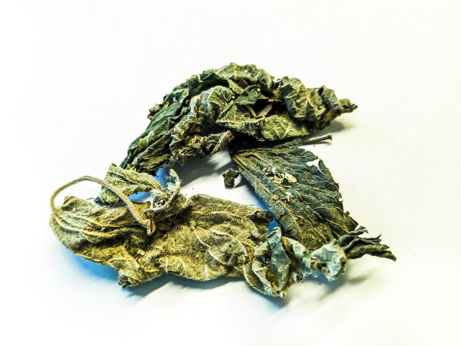Nettle Organic Dried Leaves Food For Crystal Red Bee Cherry Shrimp Snails 10g