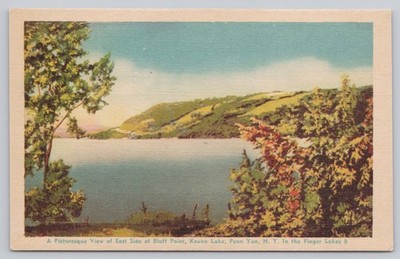 Vintage Keuka Lake Bluff Point Postcard Finger Lakes NY by Wm. Jubb