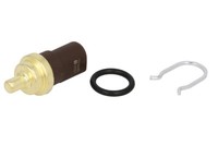 Sensor, KüHlmitteltemperatur Delphi TS10283