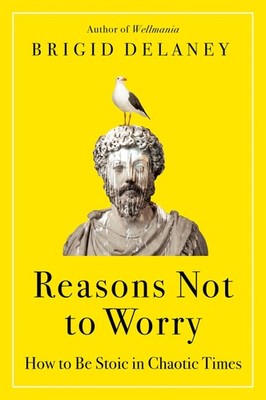 Reasons Not to Worry: How to Be Stoic in Chaotic Times A Practical Guide t...
