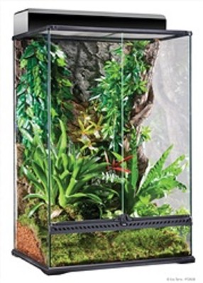 BRAND NEW in Box EXO TERRA Terrarium - Medium X-Tall (24