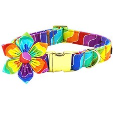 Rainbow Dog Collar Rainbow Stripes Collar with Flower for LGBT Pride Month Ho...
