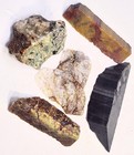 Petrified Wood - Plasma Agate- Mt Maury Moss Agate - Quartz Slab - Cabbing Rough — photo 4
