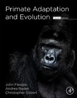 Primate Adaptation And Evolution | John G. Fleagle (U. A.) | Englisch | Buch