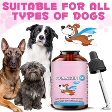 Premium Collagen for Dogs-Skin  Coat Supplement for Dogs, Hip  Joint Support
