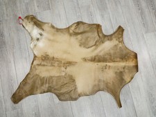 Extra Large Regular Goat Rawhide Skin 55-50XL-G4747 Y1K