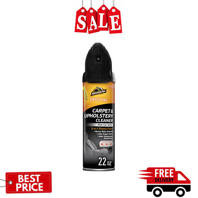 2 Pack Armor All New Car Scent (3-in-1), Carpet and Upholstery Cleaner - 22 OZ