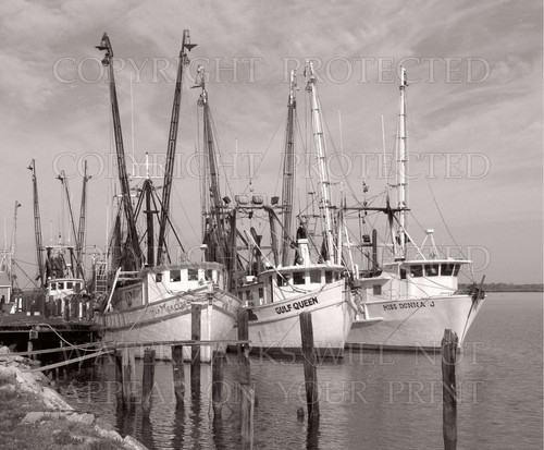 Apalachicola FL, foto de pesca de barcos camarones, ¡ELECCIÓN! 5x7 o solicitar imágenes en CD - Imagen 2 de 3