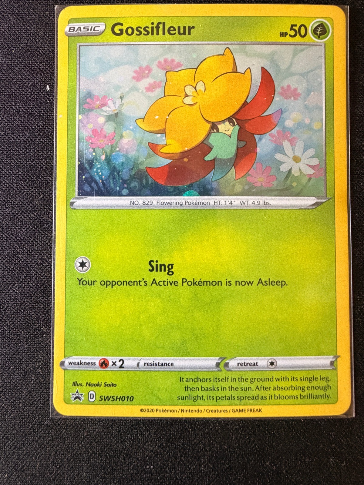 Gossifleur Holo Promo SWSH: Sword & Shield Promo Cards SWSH010 NM