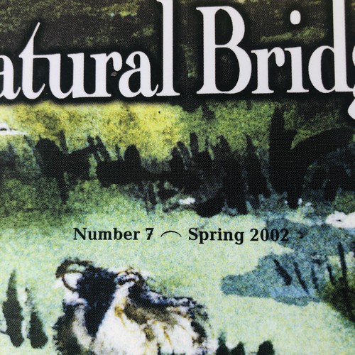 Natural Bridge A Journal Of Contemporary Literature IRISH Issue 2002 #7 UMSL STL - Picture 7 of 23