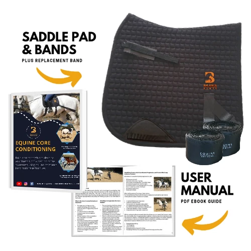 Equine Band System Dressage Core Conditioning Training Aid by Equine Balance - Image 3 of 4