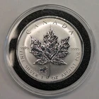 2002 Canadian Silver Maple Leaf 1 oz — photo from another recent sale