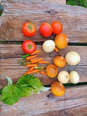 Artificial Tomatoes, Lettuce, Carrots, Onion