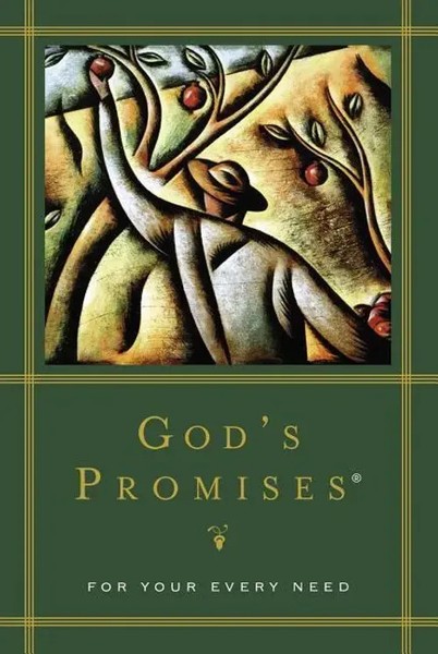 The God's Promises For Your Every Need | A. Gill | Taschenbuch | Englisch | 2022-image