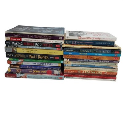 Early Chapter Books Boys Interest Lot of 26 Grade 3-6 Vintage & Modern