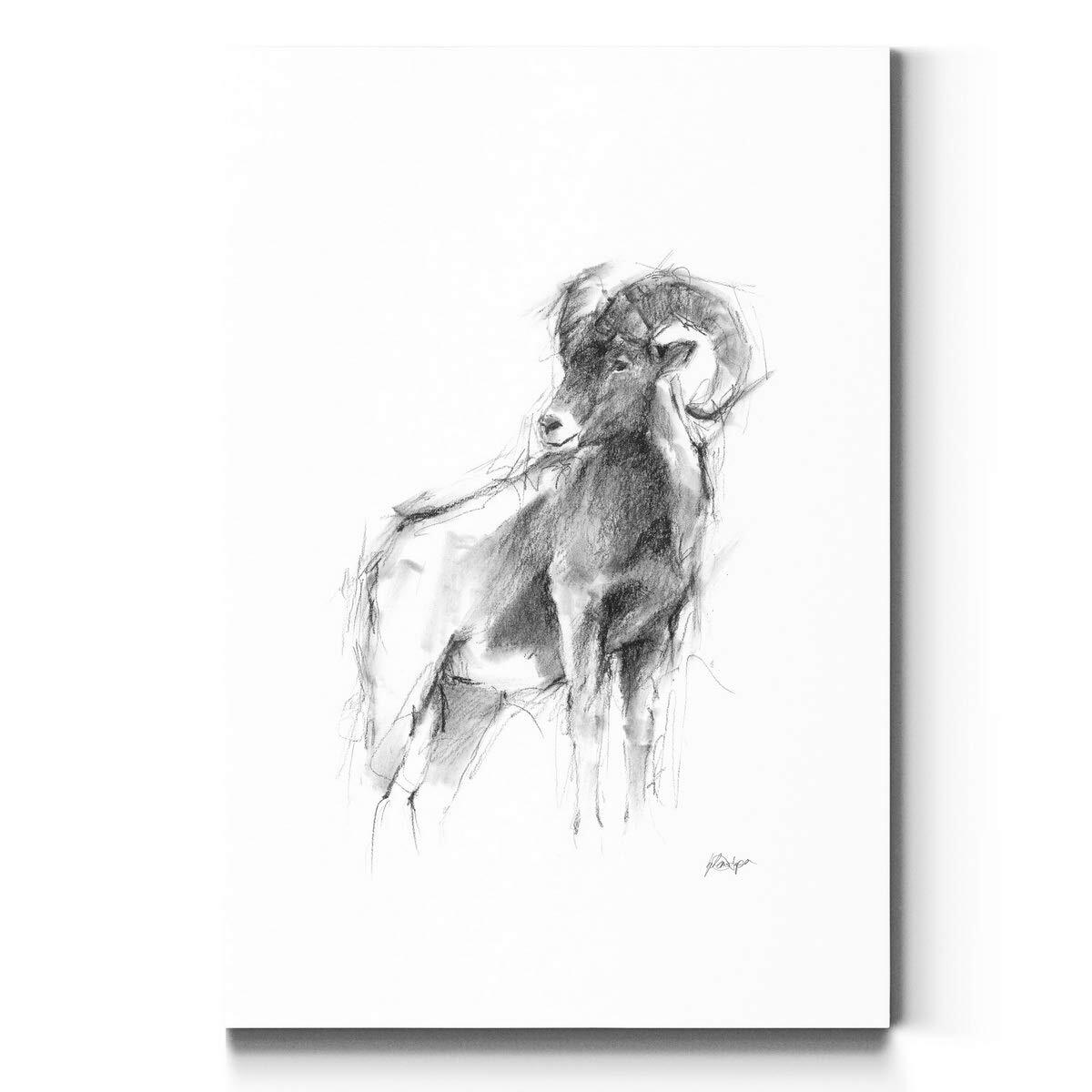 Portrait Style Canvas Wall Art: Animals, Dogs, Birds, Fish, Horses, Elk, Deer...