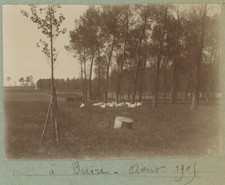 A Buire-Courcelles (Sum) Près Roisel.