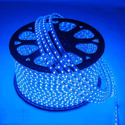 BLUE LED Strip 220V- 240V Waterproof 5050 SMD Lights Rope+ Free AC ...