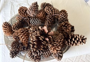 Lot 36 Wired Natural Pine Cones Bundles of 3 Crafts Country Rustic Decor Wreath