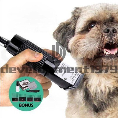 professional dog trimmer