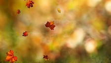 Landscape fall blurred fallen Custom Gaming Mat Desk