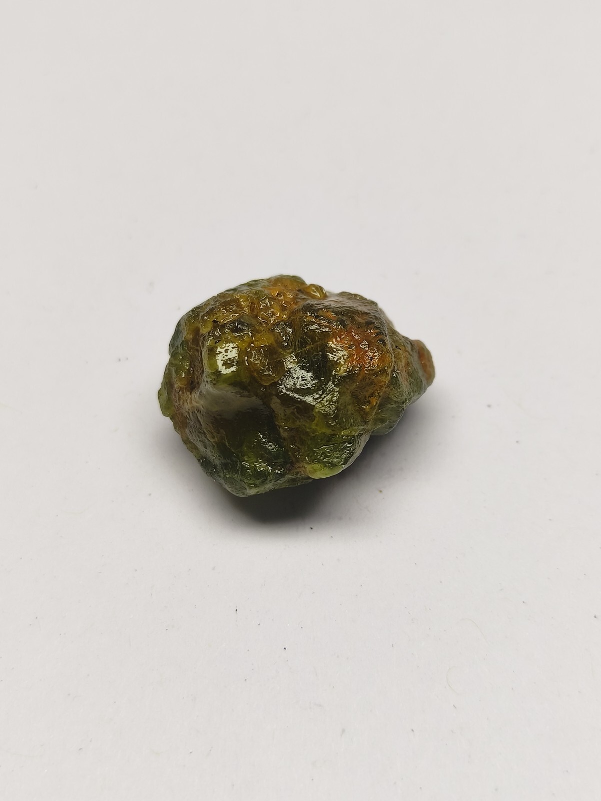 Picture 6 of 14
