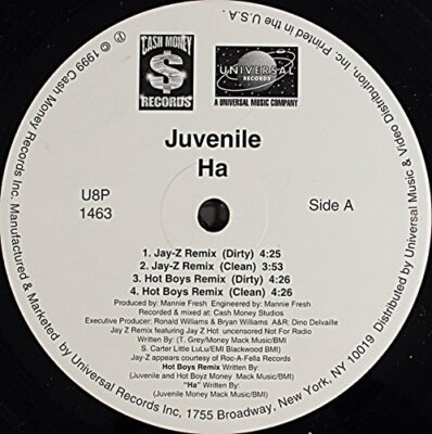 Ha (US, 7 versions, 1999, incl. Jay-Z Remix) [Vinyl Single]