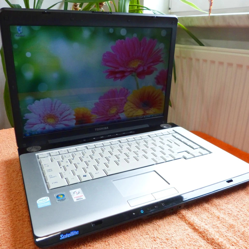 Toshiba A200 Classic 15 pollici Multimedia l 160 GB Windows Vista l DUAL CORE... - Immagine 3 di 4