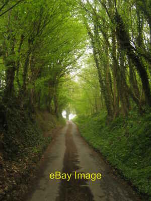 Foto 12x8 Sussex Grenzweg auf Lower Northlands Farm Road Bodiam The lon c2010