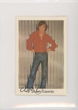 Shaun Cassidy — 1979 Popbilder Period After Number I #19