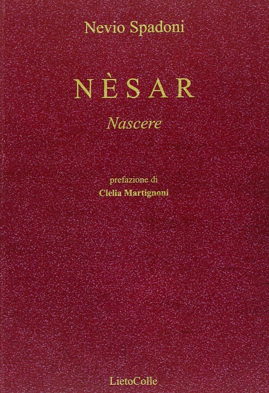 Невио Спадони Несар (в мягкой обложке) (ИМПОРТ ИЗ Великобритании)