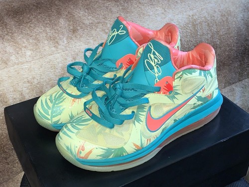 “LeBronald Palmer” | LeBron 9 Low 