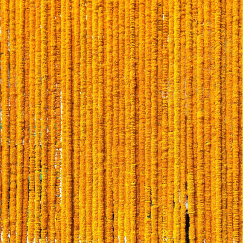 Orange Marigold Garland Long Strands Artificial Marigold Flowers, Pack of 100 Pc - Picture 1 of 6
