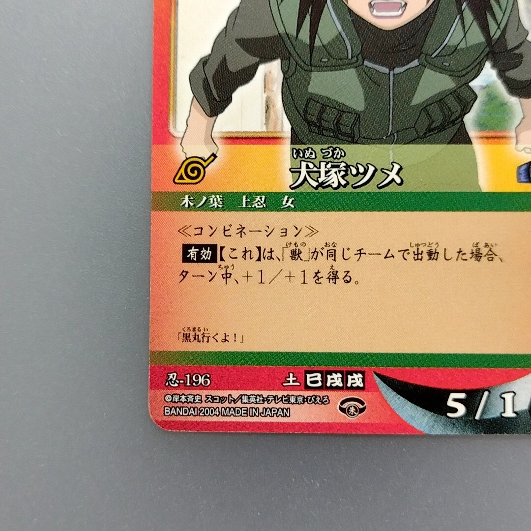 Tsume Inuzuka 