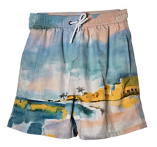 Scene  Heard Boys Swim Trunks Size 14/16 Pool Beach Vacation Landscape Colorful