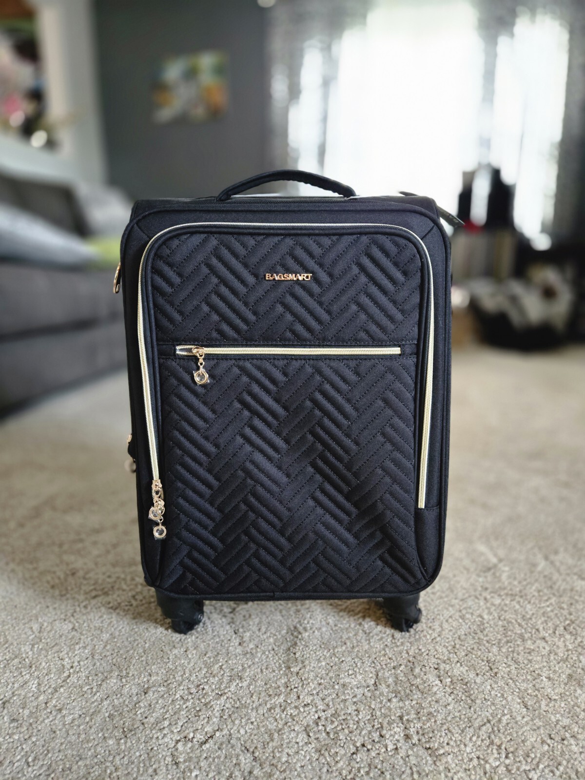 BAGSMART 20 Inch Carry On Luggage with Spinner Wheels-image