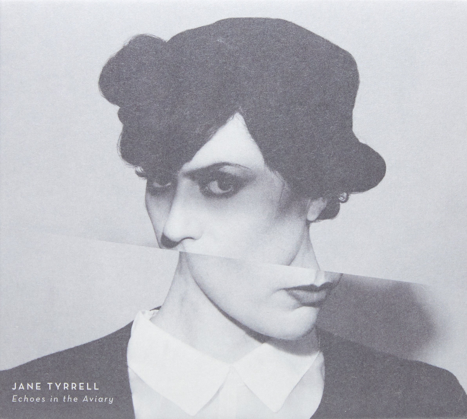 TYRRELL, JANE - ECHOES IN THE AVIARY (CD)