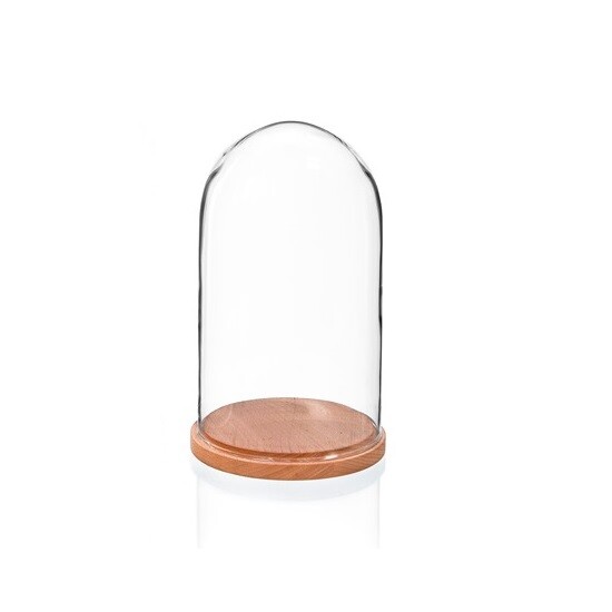 Small Glass Display Cover Dome Cloche With Natural Beech Base Height 26 x 15 cm
