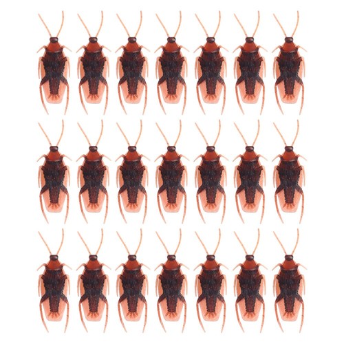 Grand modèle de libellule simulé, jouet, spécimen d'insecte, coccinelle