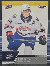 22-23 Upper Deck CHL Brett Harrison 🚨🚨🚨 Boston Bruins Prospect 