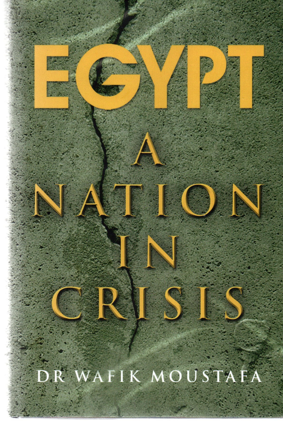 Wafik Moustafa SIGNED Egypt A Nation in Crisis Arab Spring Islam Muslim Sharia