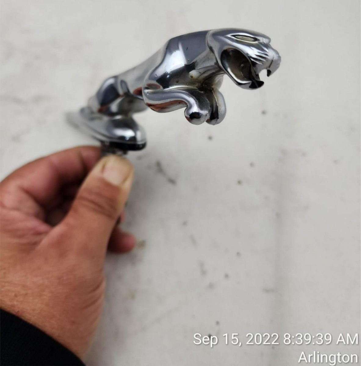 00-09 Jaguar S-Type Leaping Hood Ornament 6