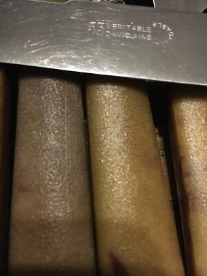 Coffret De 12 Couteaux Anciens Véritable David Aîné - Manche Résine, Lame Argentée