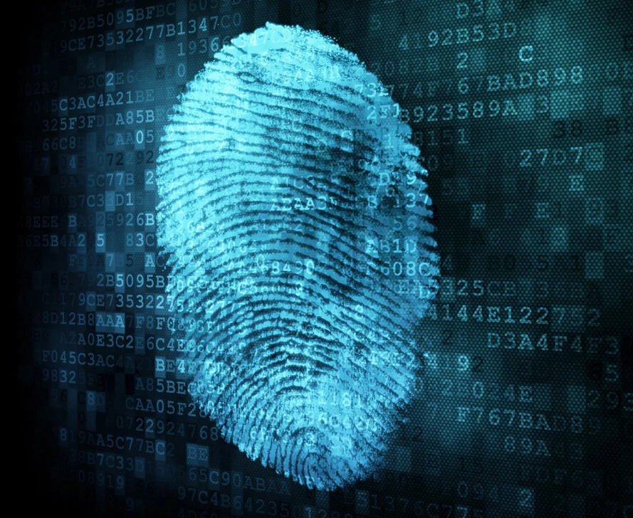 CAINE Computer Forensics Bootable USB Drive Linux Digital Investigation Tool - Image 4 of 4