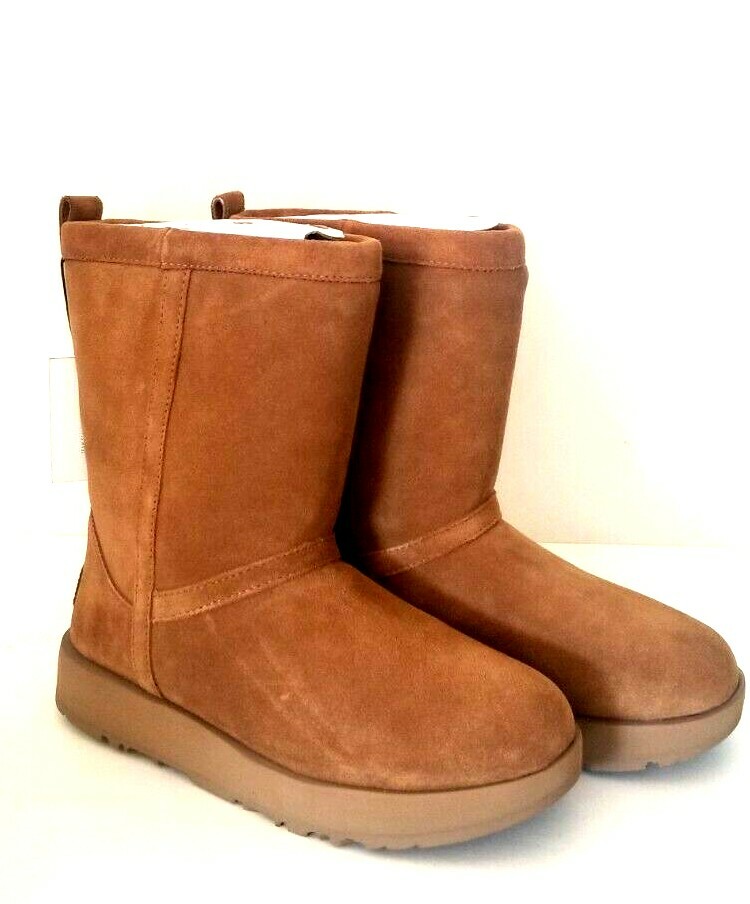 ugg classic short waterproof boot in chestnut