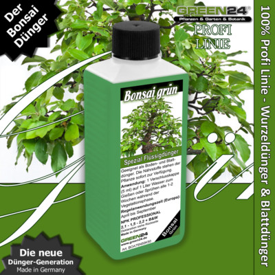flaschengarten mit bonsai Flaschengarten Egg Bonsai kaufen  Geschlossenes kosystem