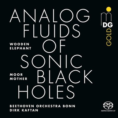 Moor Mother - Analog Fluids Of Sonic Black Holes - CD