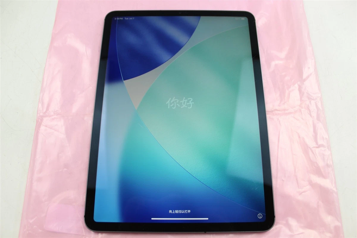 Apple iPad Pro (1st Generation) 11 in - 12.9 in Screen 256 GB