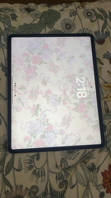 Apple iPad Pro 12.9-inch (4th Gen.) 256GB