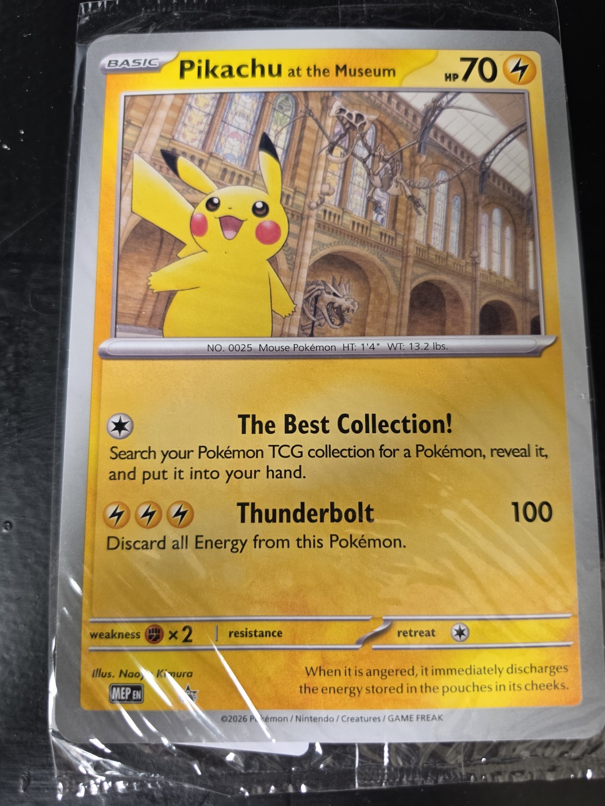 Pokemon TCG Pikachu At The Museum Jumbo Card Promo